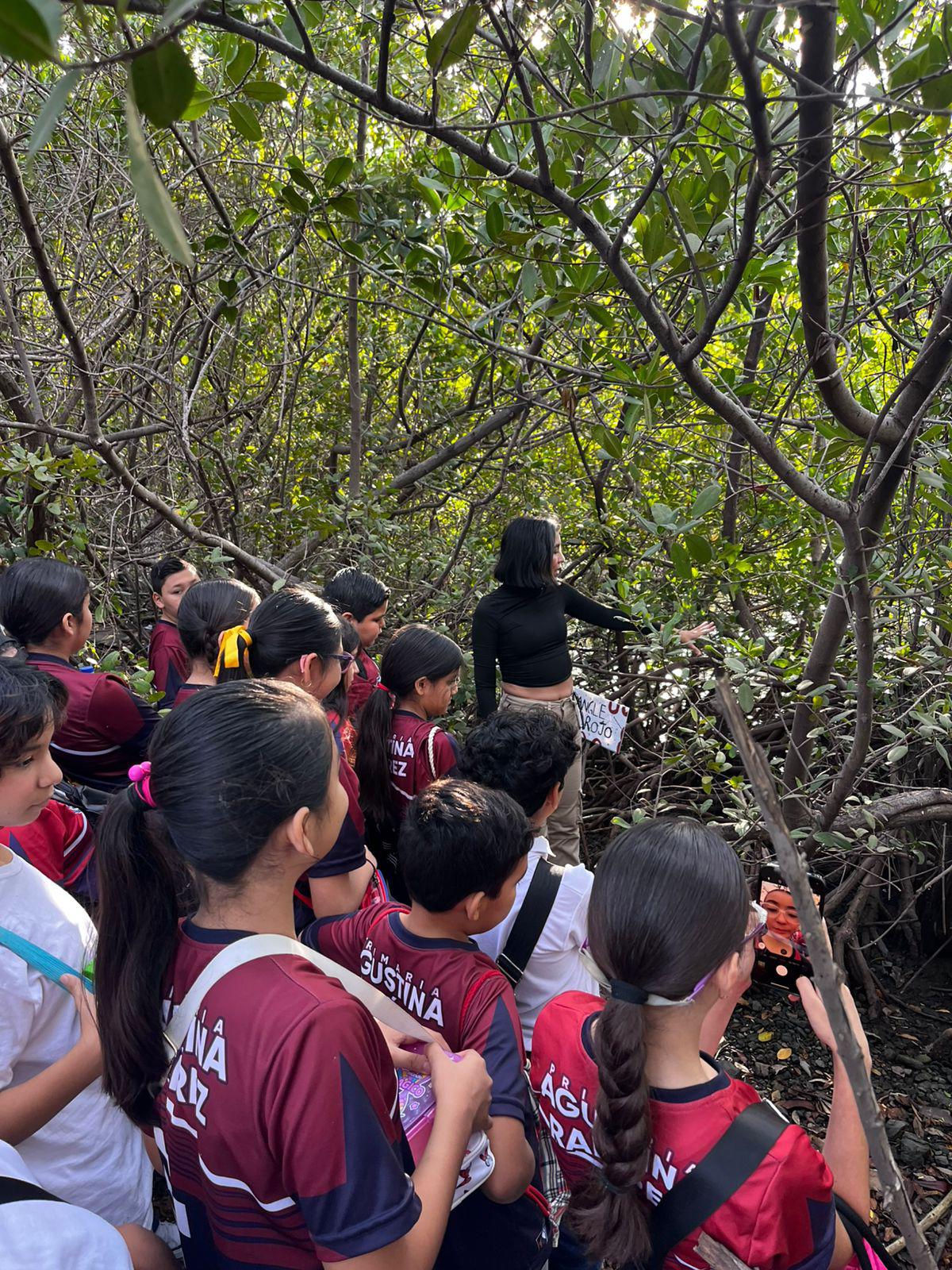$!Retiran más de 3 toneladas de basura en jornada ‘Cuidemos los Manglares’ en Mazatlán