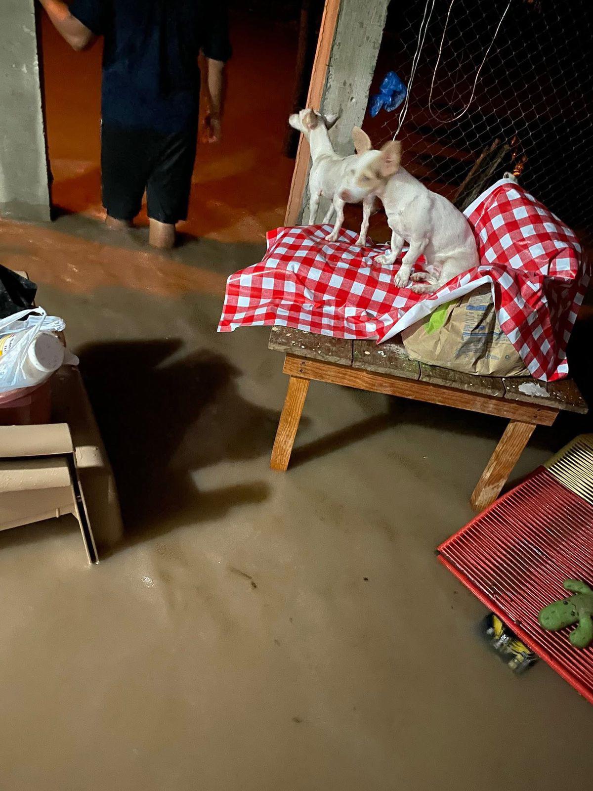 $!Lluvias intensas ocasionan desbordamiento de arroyos y ríos en sur de Escuinapa