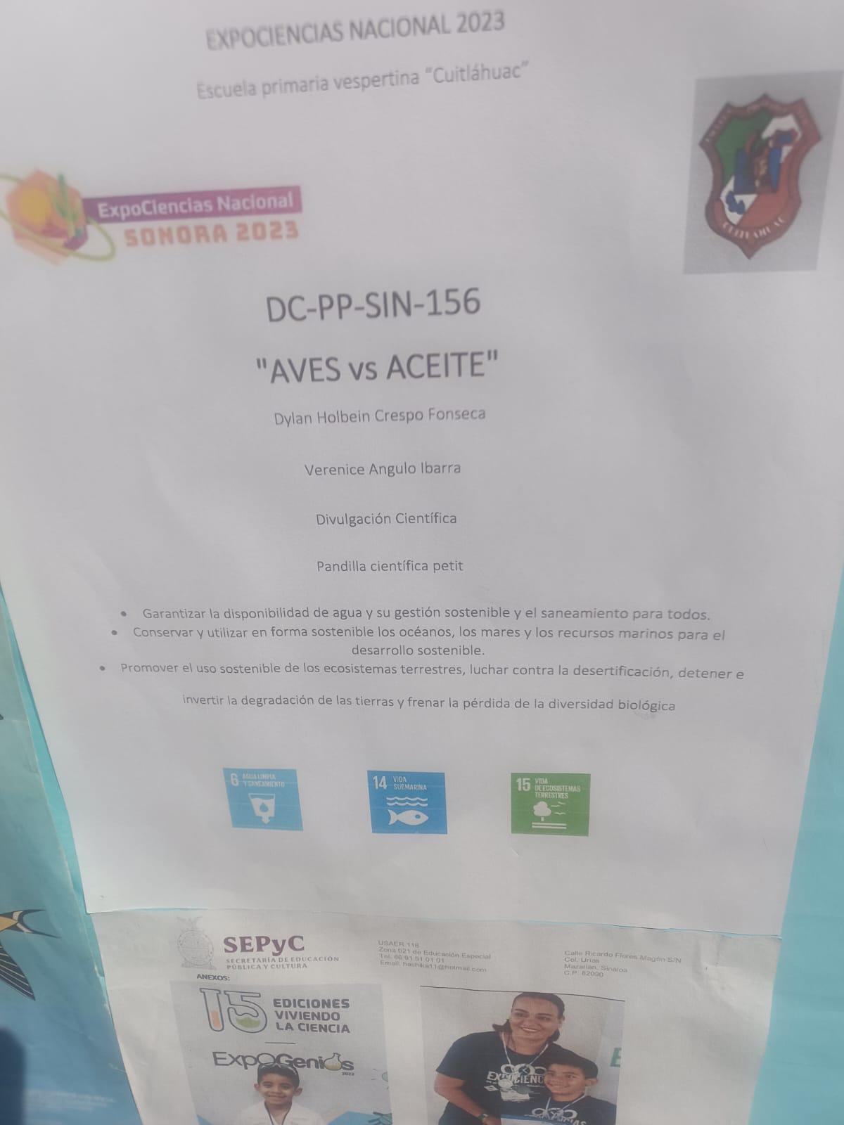 $!Busca Dylan crear conciencia sobre el cuidado de las aves en Mazatlán