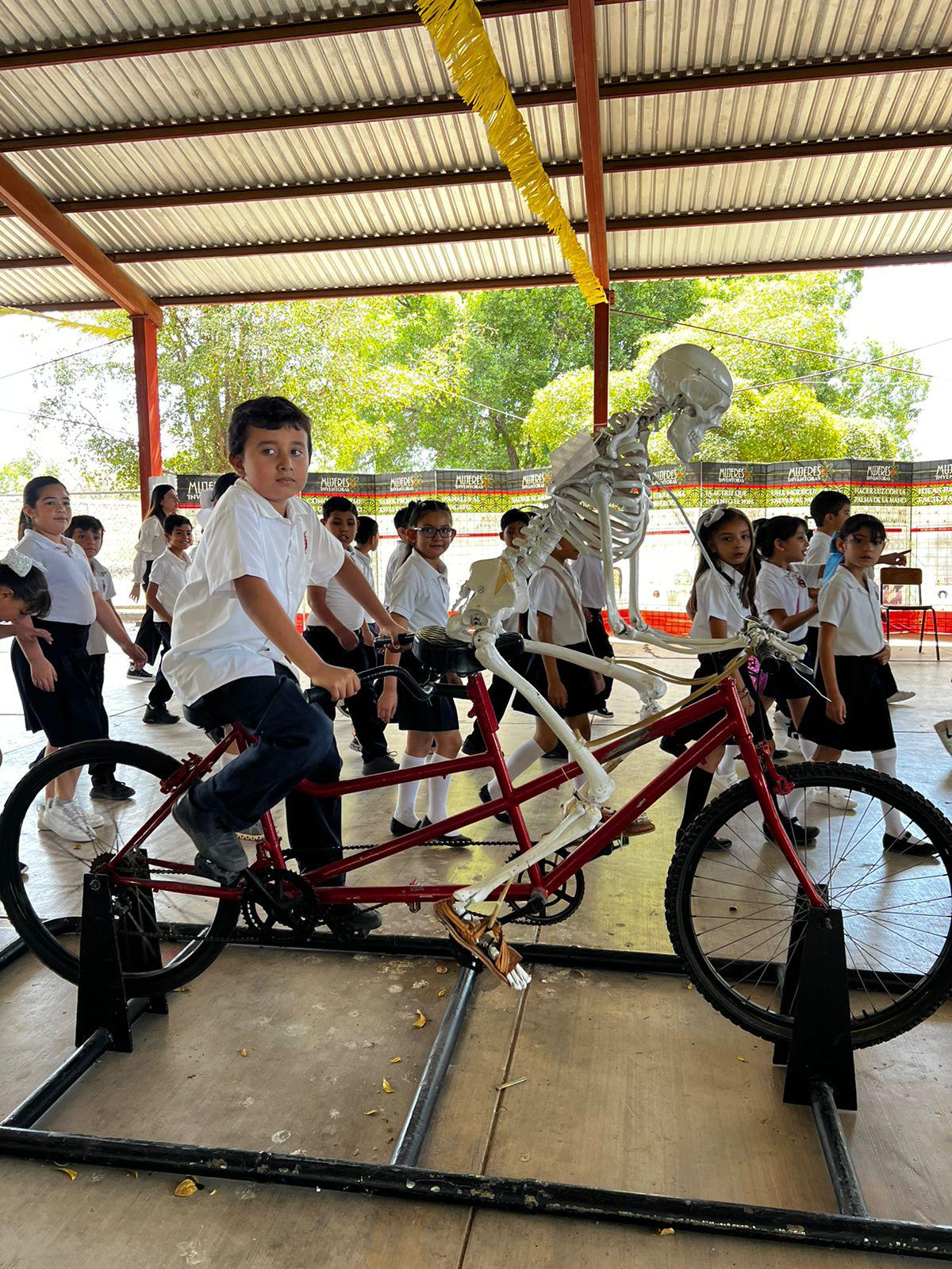 $!El Esqueleto en Movimiento otro de los aparatos usados por los estudiantes.