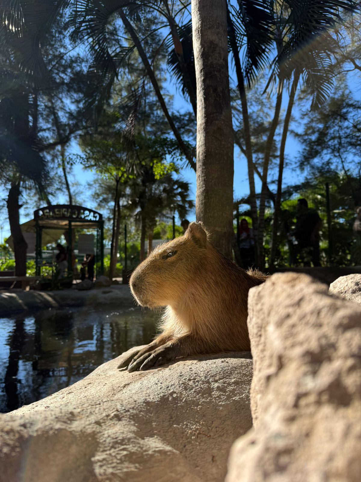 $!Descubre el Gran Acuario: una experiencia imperdible en tu visita