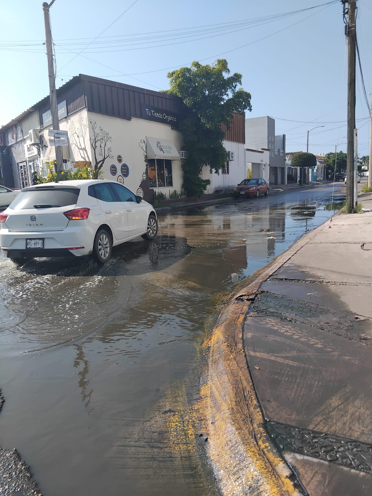 $!Viven vecinos de El Toreo entre aguas negras, malos olores y temor a enfermedades