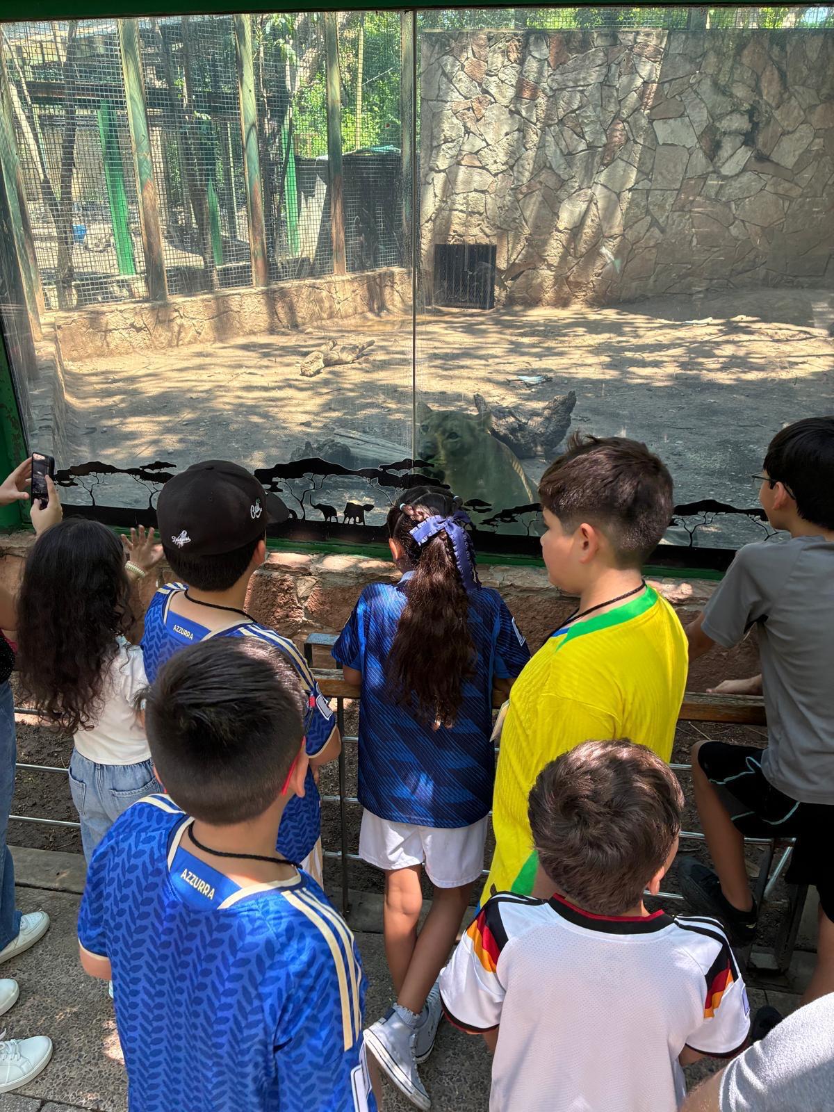 $!Participantes de los Cursos de Verano Imdec 2026 disfrutan visita educativa al zoológico de Culiacán