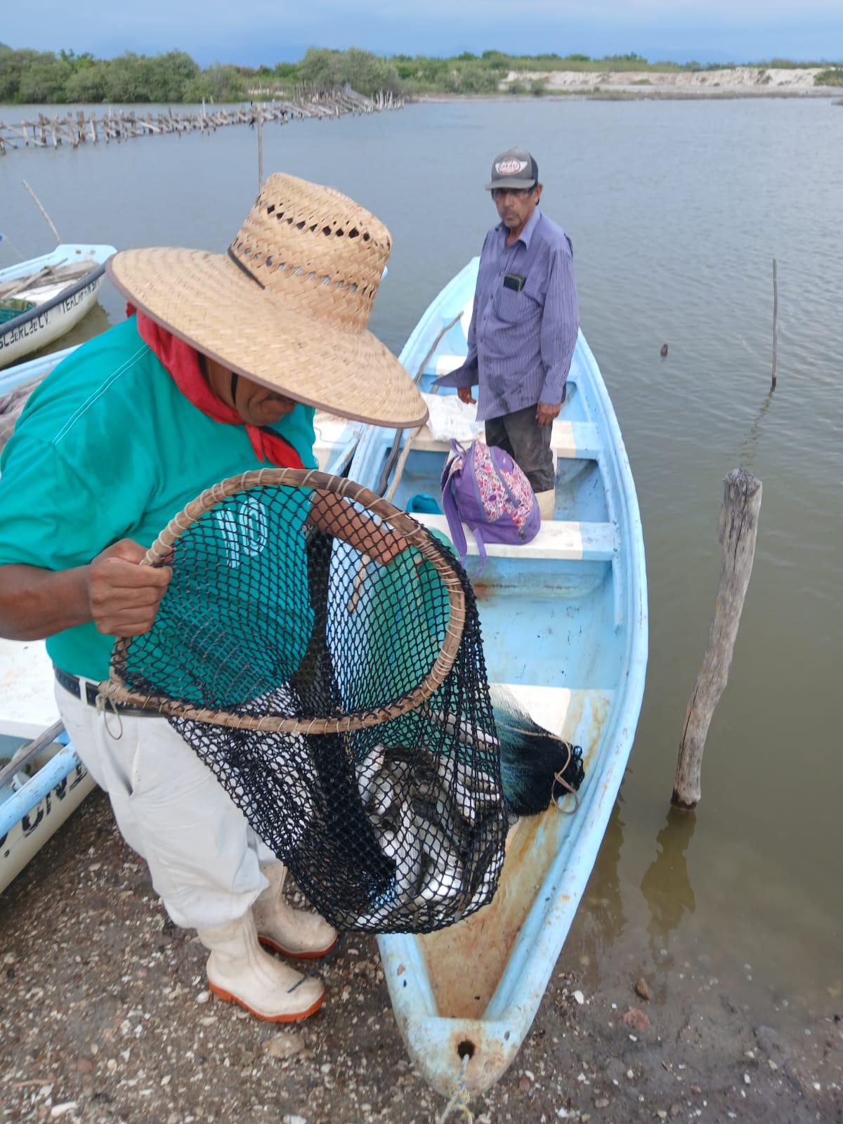 $!‘No se pescó ni un sólo camarón’, afirman productores, en Chametla