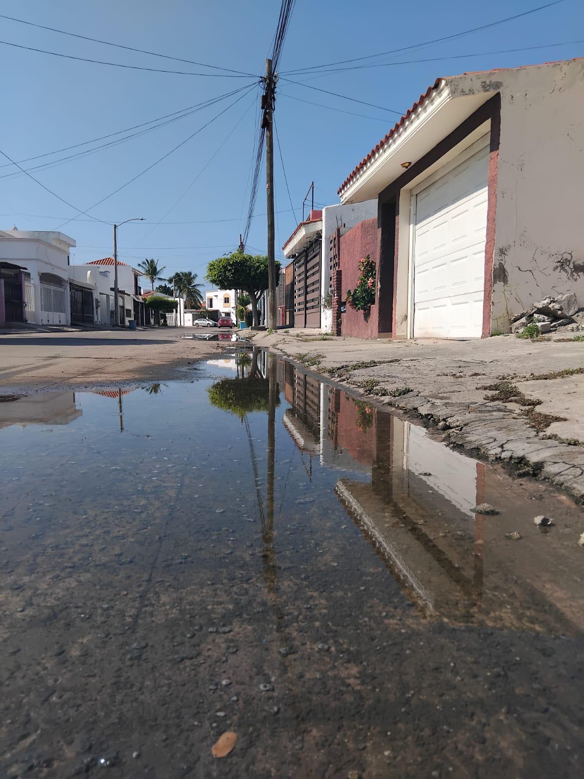 $!Viven vecinos de El Toreo entre aguas negras, malos olores y temor a enfermedades