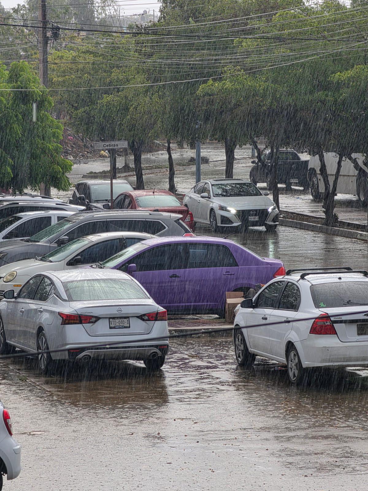 $!Genera lluvias apagones en al menos seis colonias en Mazatlán y crecida de arroyo rumbo a Miravalles: Protección Civil