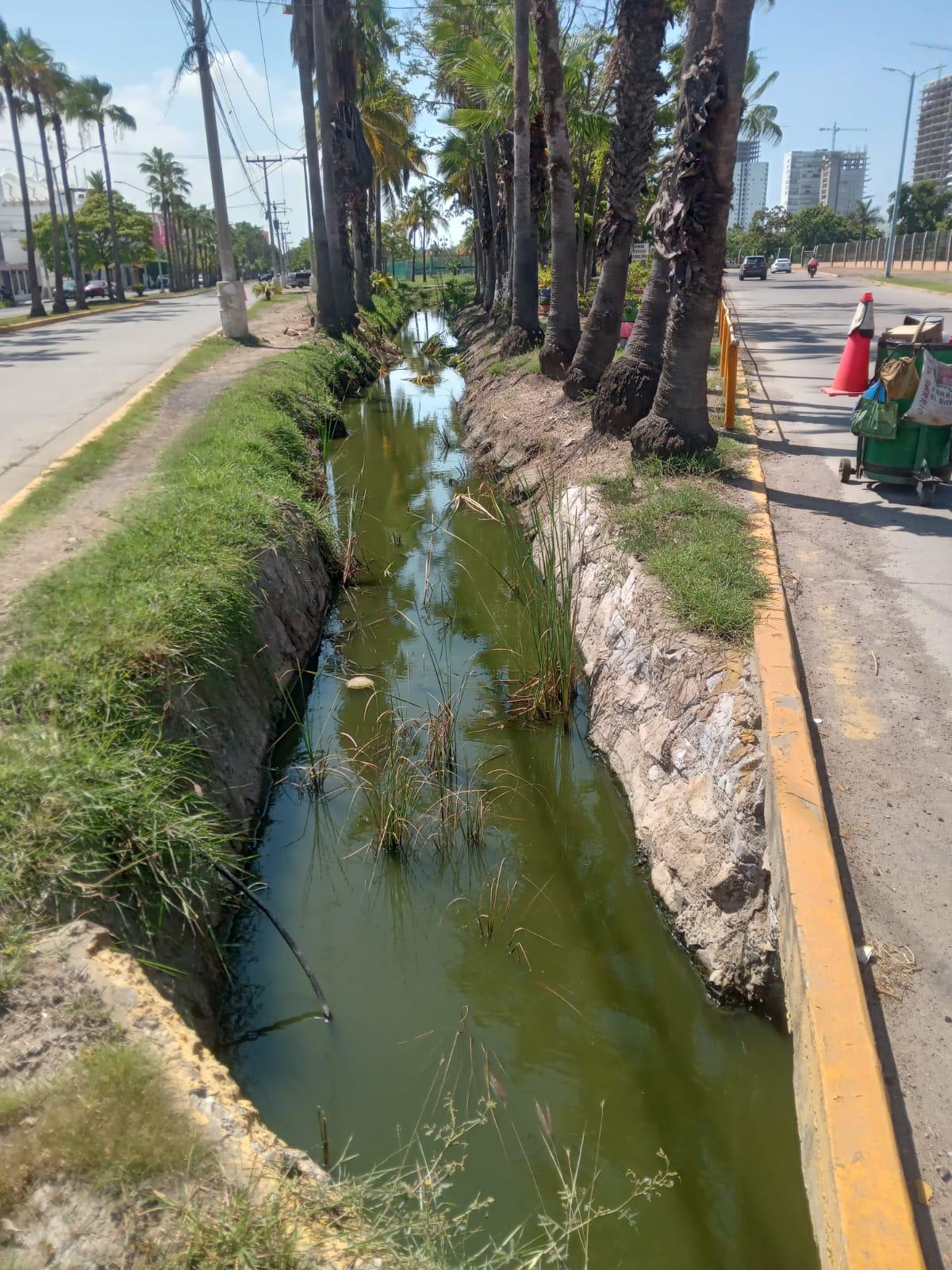 $!Canal del fraccionamiento Flamingos, en Mazatlán, tiene olor a drenaje