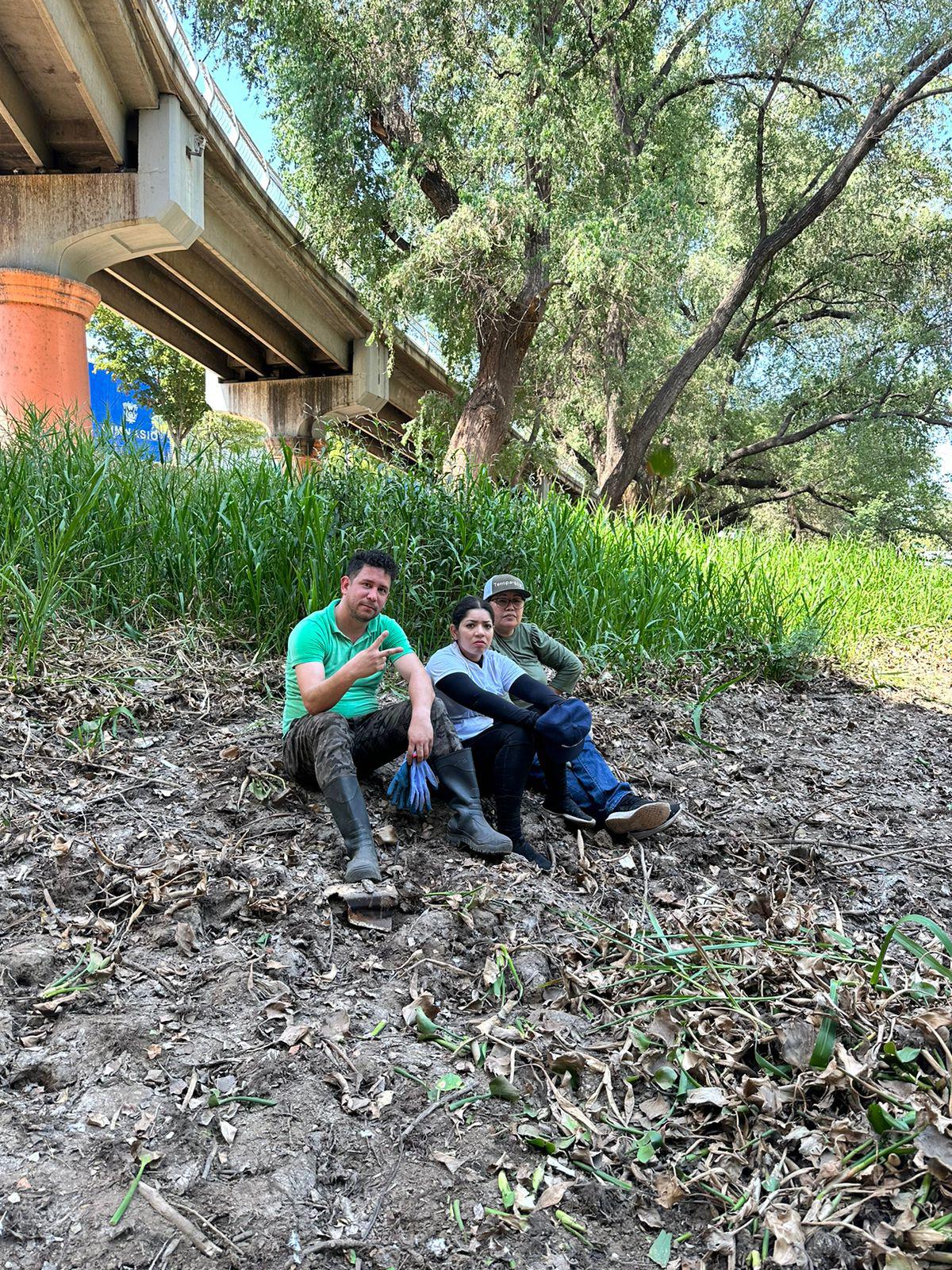 $!Sacan 5.5 toneladas de lirio acuático del río en Culiacán