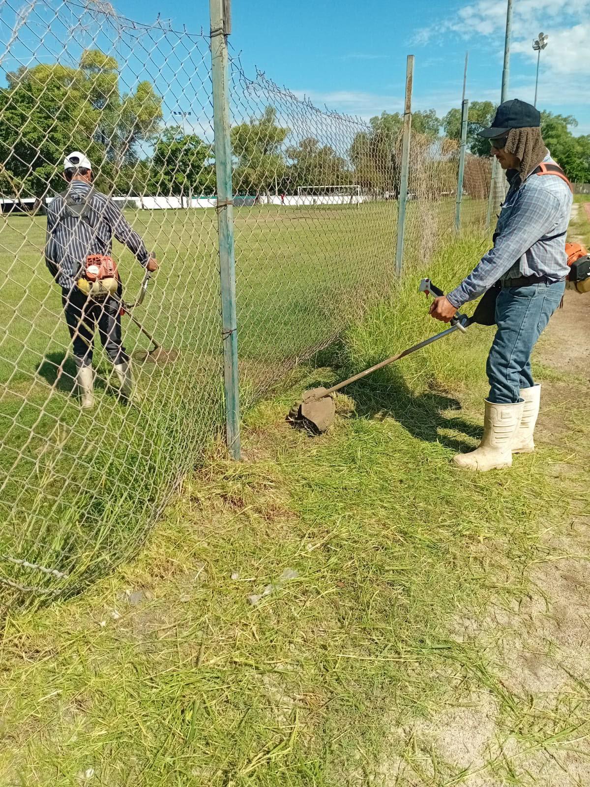 $!Instituto del Deporte de Ahome da mantenimiento a canchas tras lluvias recientes