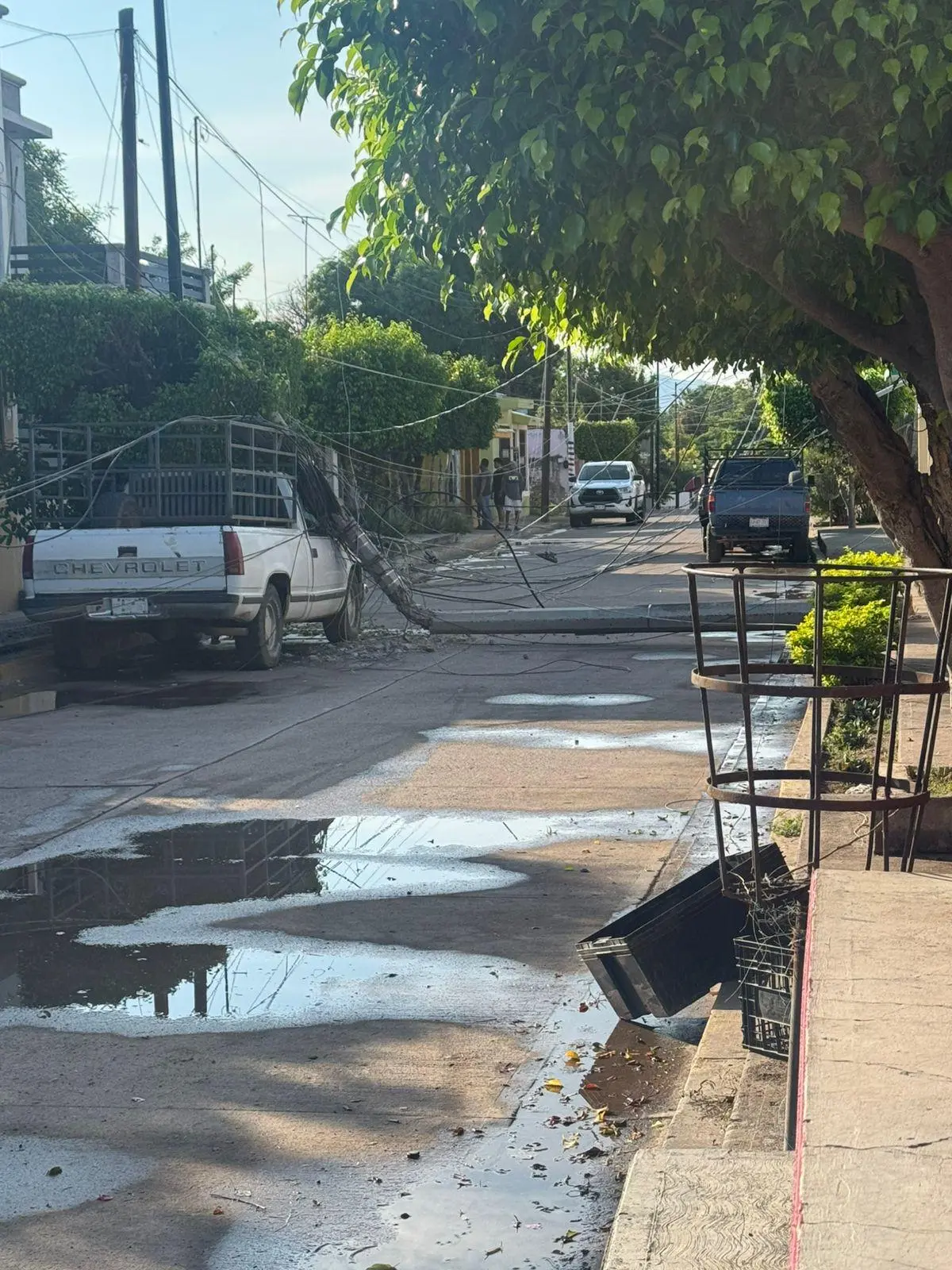 $!Góndola derriba postes y deja sin luz a colonias de El Rosario por más de 3 horas