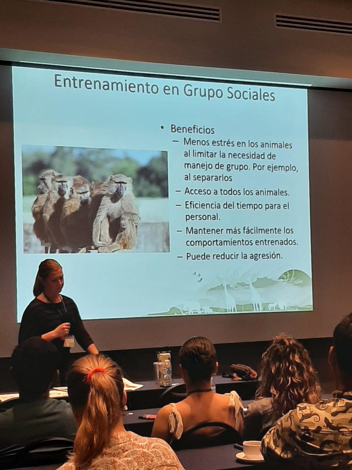 $!Se enfocan en el cuidado y preservación animal