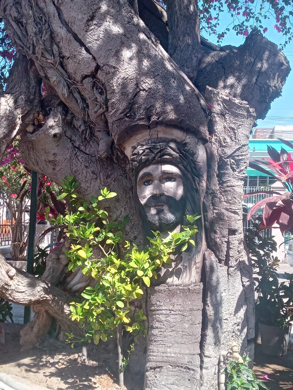 $!Atrae a turistas imagen de Cristo tallada en árbol de hule en Catedral de Mazatlán