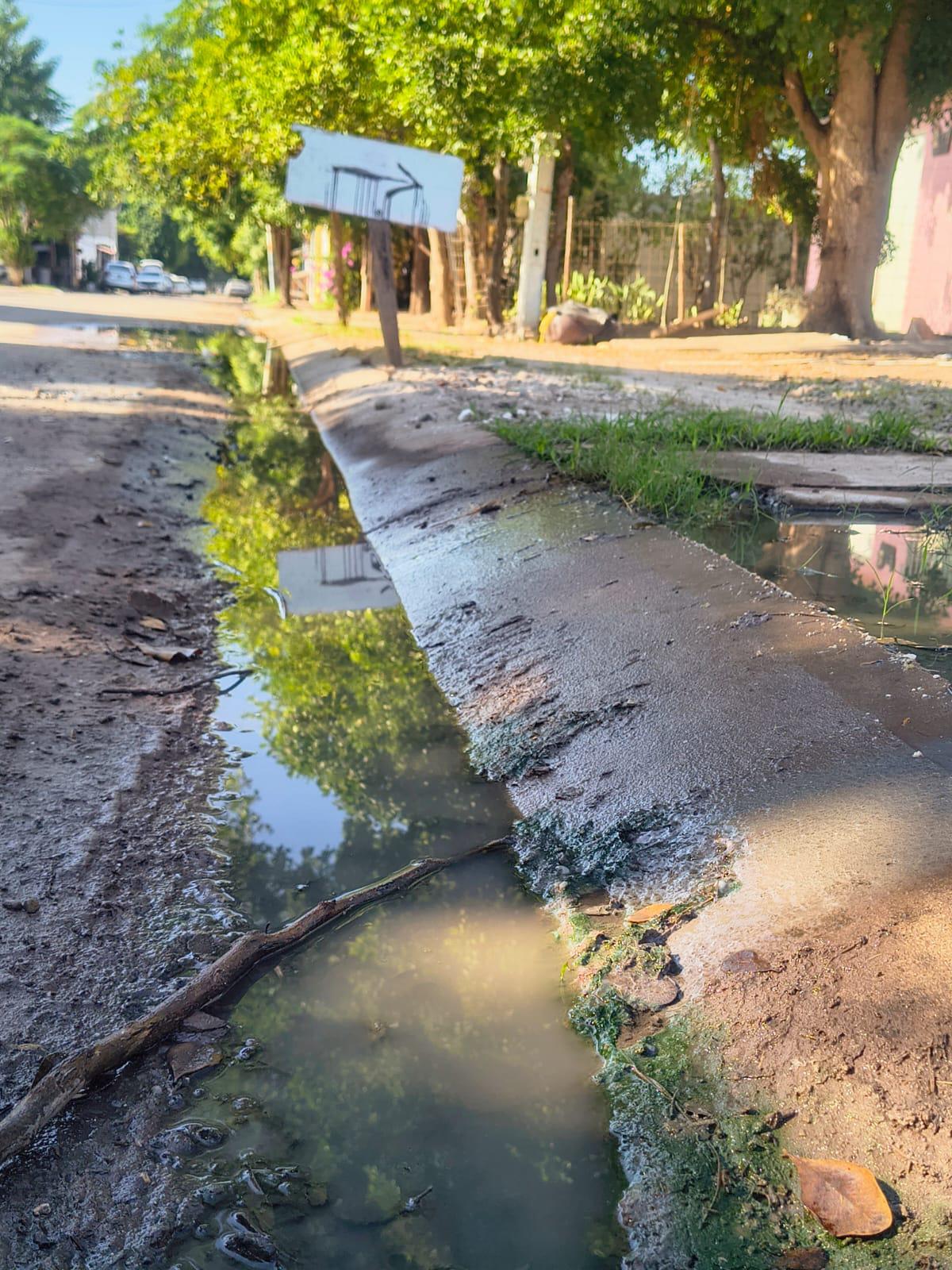 $!Vecinos de Fraccionamiento Virreyes, en Los Mochis, reclaman resolver colapso de drenajes y focos de infección