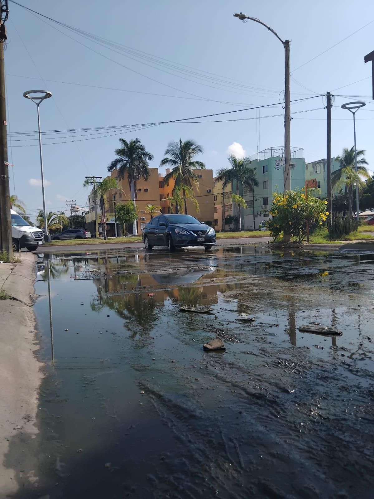 $!Viven vecinos de El Toreo entre aguas negras, malos olores y temor a enfermedades