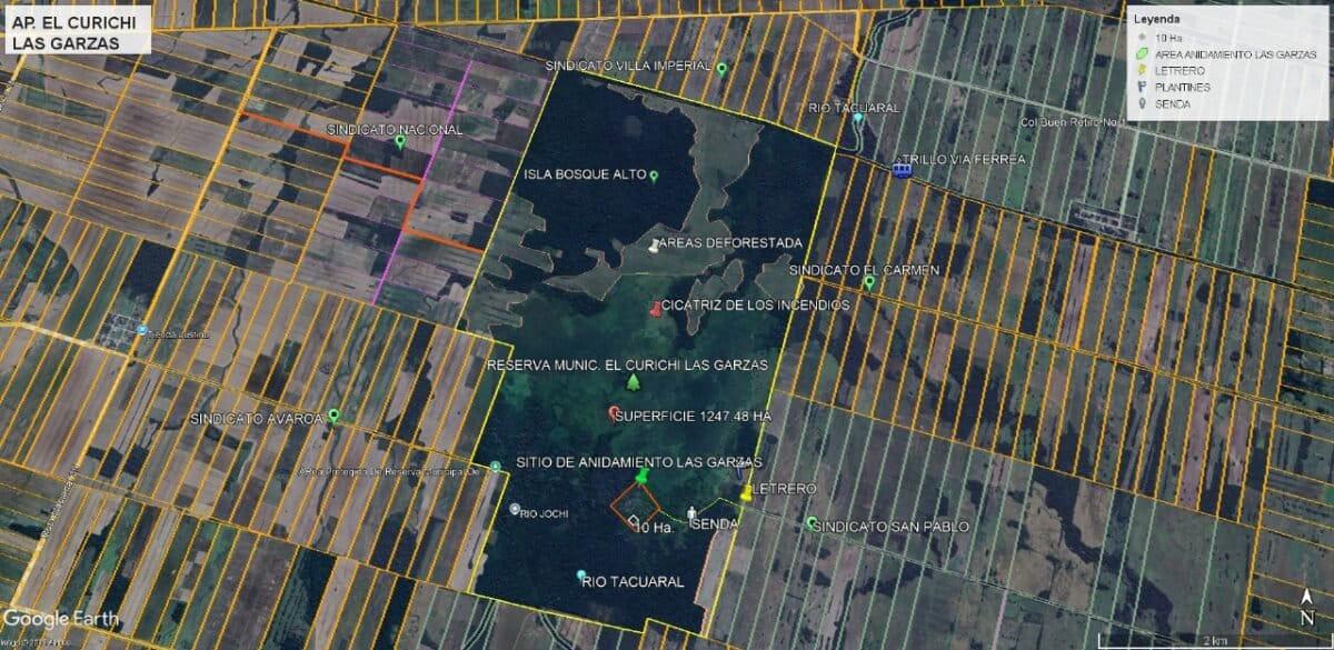 $!El gran retorno de las cigüeñas a un área protegida de Bolivia amenazada por invasores e incendios