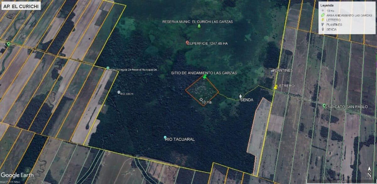 $!El gran retorno de las cigüeñas a un área protegida de Bolivia amenazada por invasores e incendios