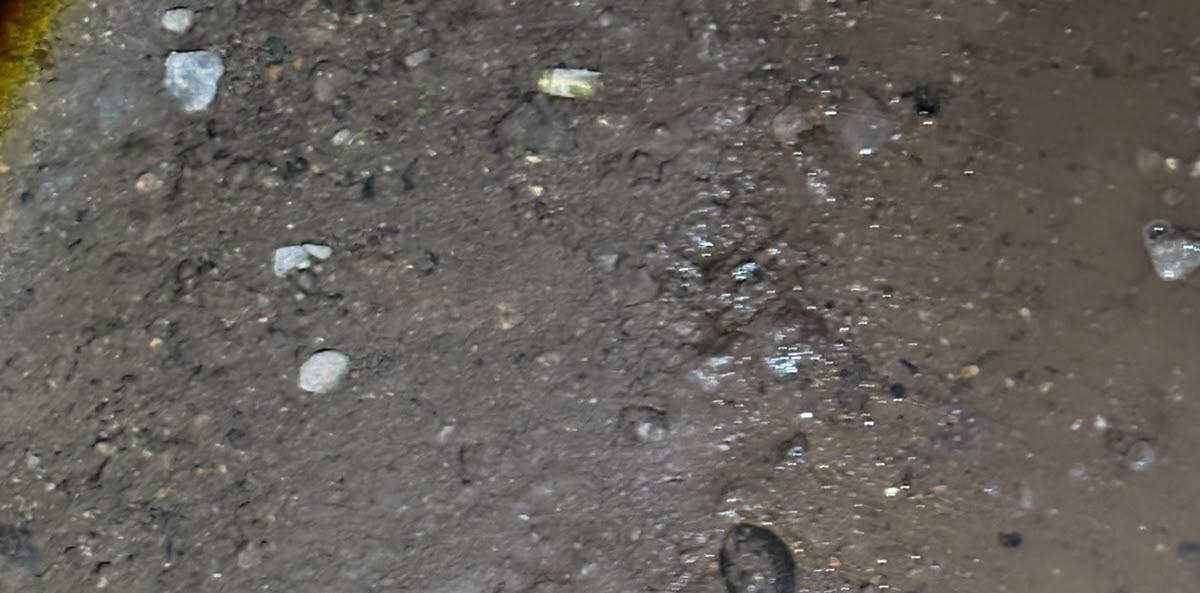 $!Joven mujer de 20 años es asesinada en Escuinapa