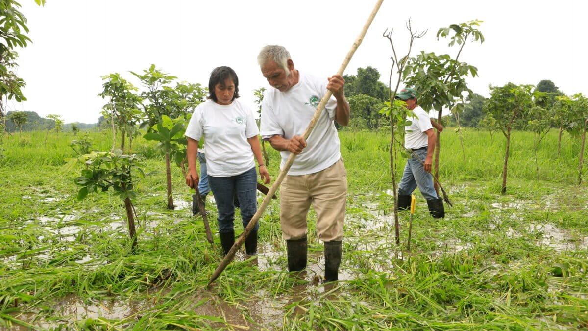 $!Los ecosistemas invisibles en la lucha contra la crisis climática