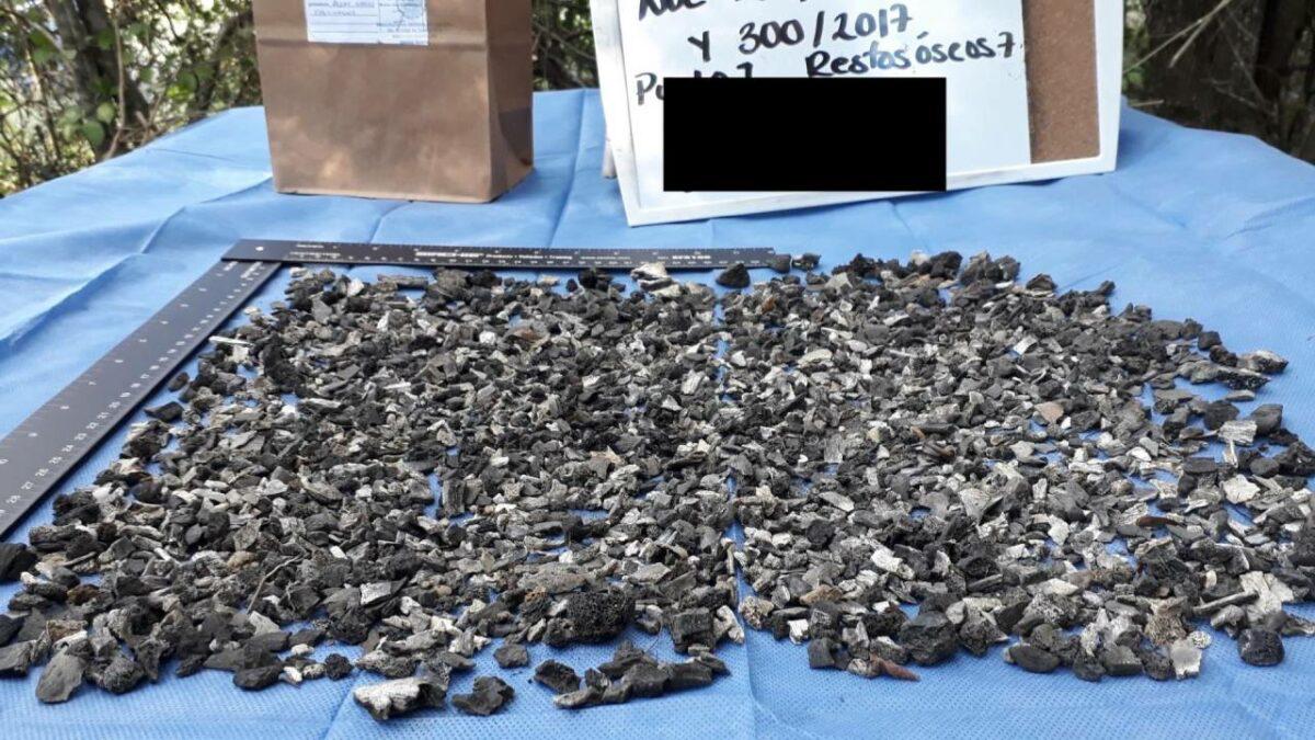 $!Los restos recolectados en una mesa de indicios.