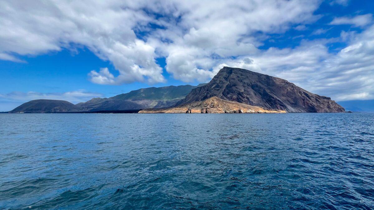 $!Galápagos: redescubren un coral solitario que se creía extinto y renueva la esperanza sobre la conservación marina