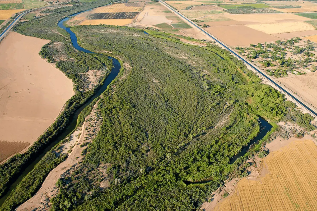 $!Revivir al Río Colorado: utilizan abejas y agua para restaurar el delta que unía a Estados Unidos con México