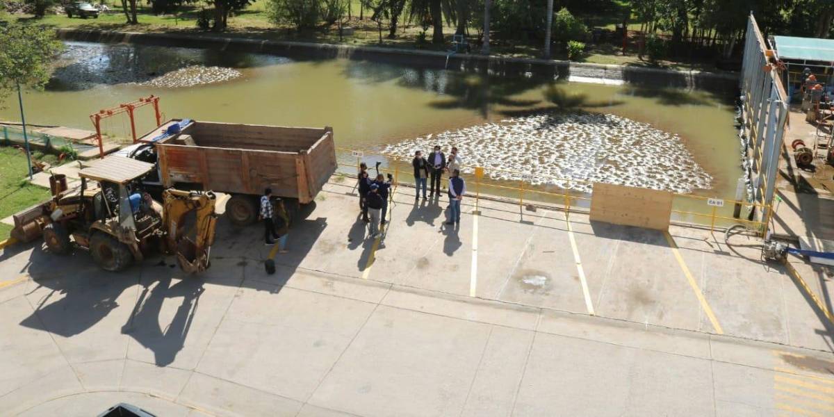 A cuatro días de dar positivo a Covid-19, Alcalde de Ahome deja aislamiento