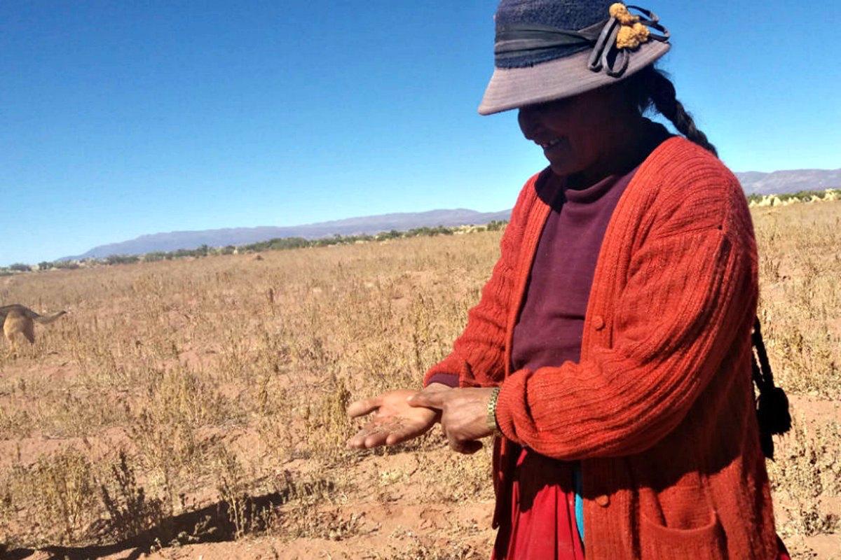 $!Una intensa sequía afectó el agro en Bolivia durante el año 2023.