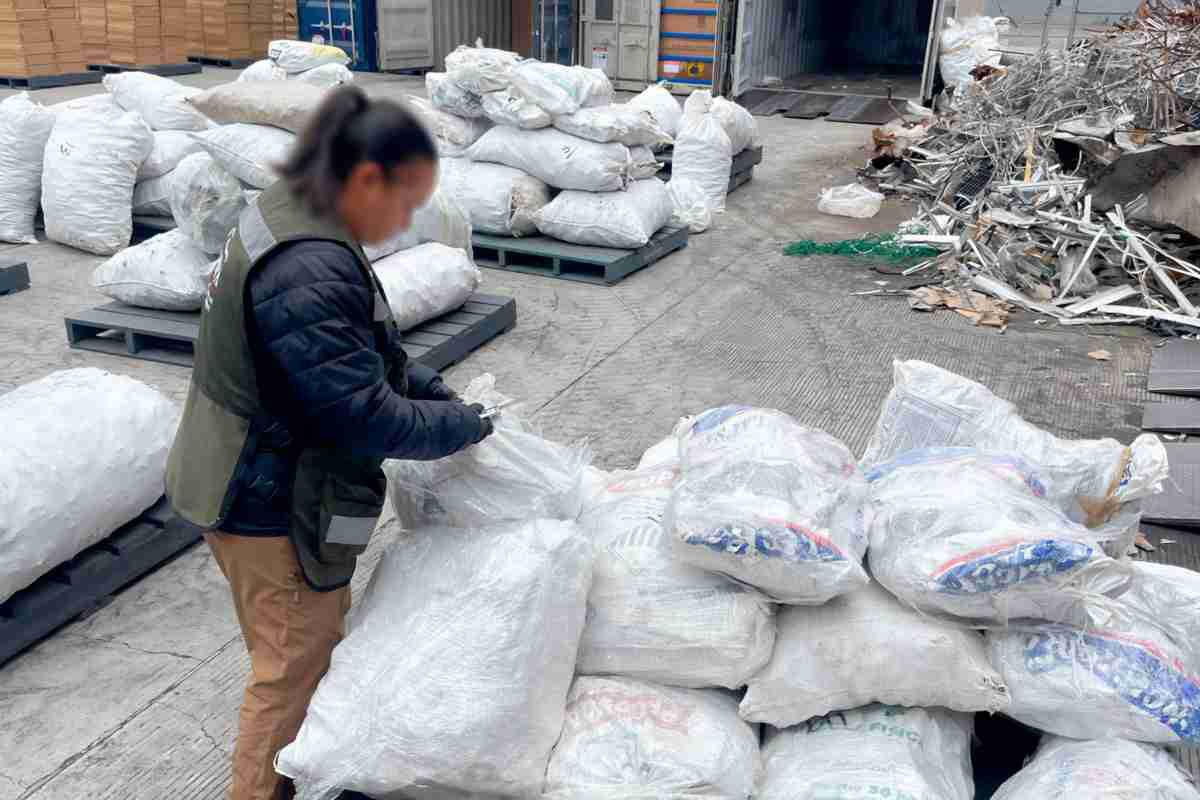 $!ONG exige sanciones para México por normativas insuficientes que combatan el aleteo de tiburón