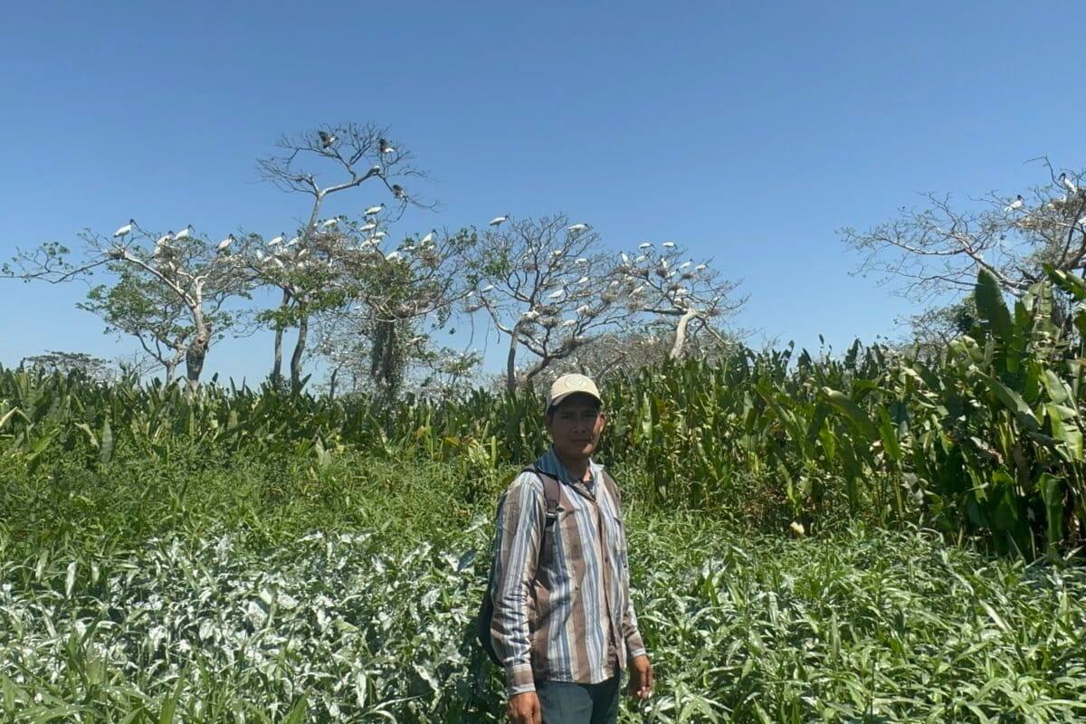 $!El gran retorno de las cigüeñas a un área protegida de Bolivia amenazada por invasores e incendios