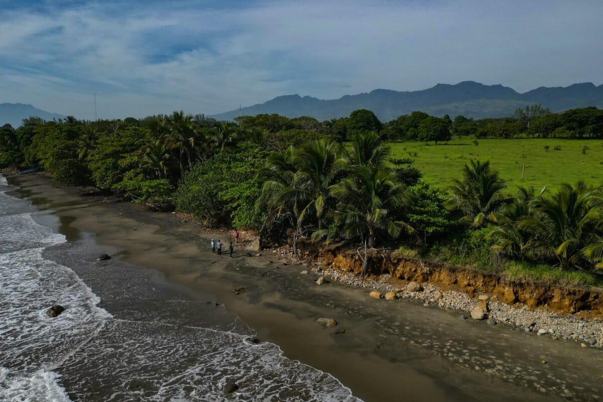 $!Ante los problemas de erosión costera, los científicos buscan alternativas basadas en la naturaleza para mitigar los impactos.