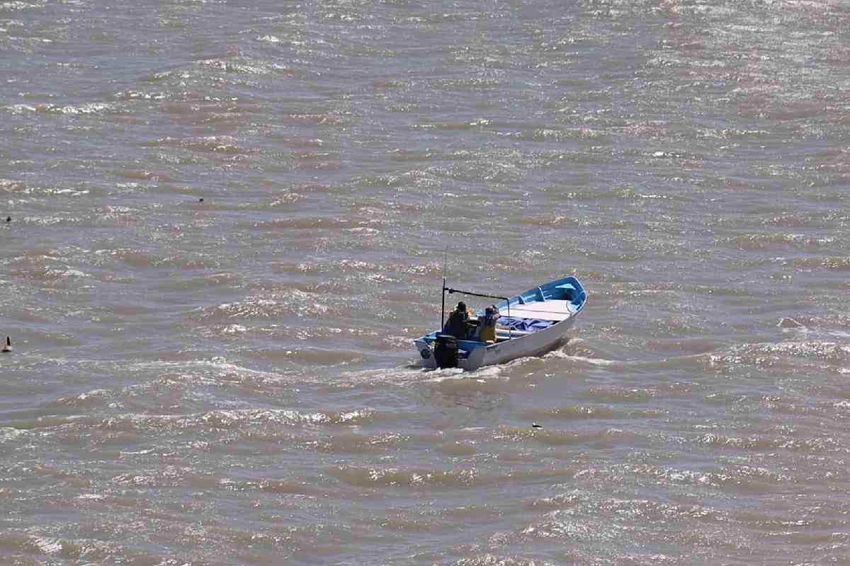 $!Gobierno de AMLO abandonó desde 2021 proyecto esencial para conservación de la vaquita marina