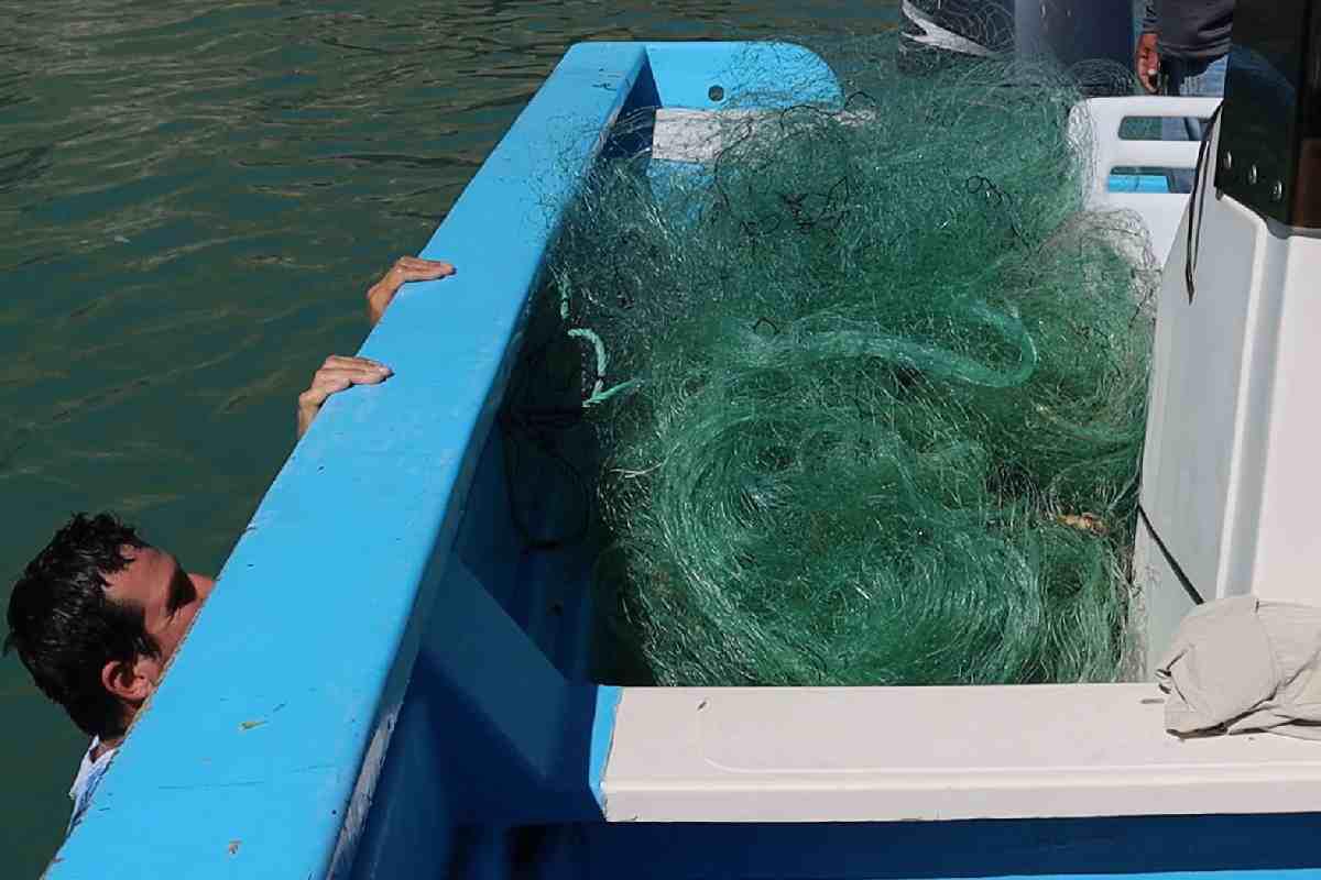 $!Gobierno de AMLO abandonó desde 2021 proyecto esencial para conservación de la vaquita marina