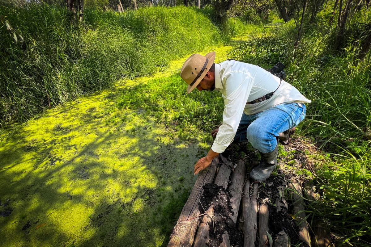 $!Día mundial de la adaptación al cambio climático: cuatro iniciativas que luchan contra la inminente escasez de agua dulce
