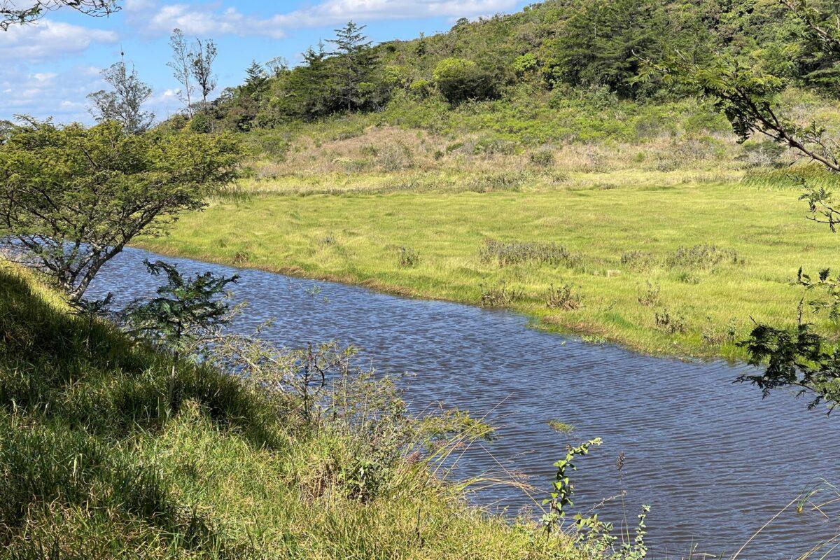 $!Día mundial de la adaptación al cambio climático: cuatro iniciativas que luchan contra la inminente escasez de agua dulce