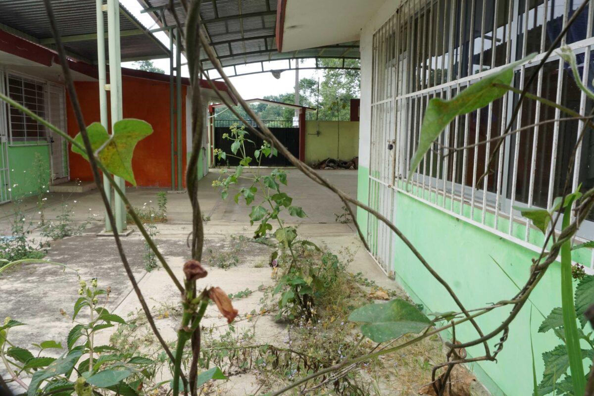 $!En Veracruz, comunidades denuncian que pesticidas para cultivo de papa amenazan su salud y un bosque de niebla
