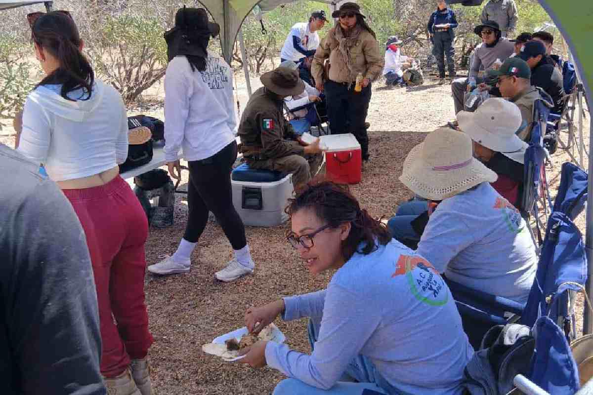 $!Localizan cinco fosas clandestinas con 10 osamentas humanas en La Paz, Baja California Sur