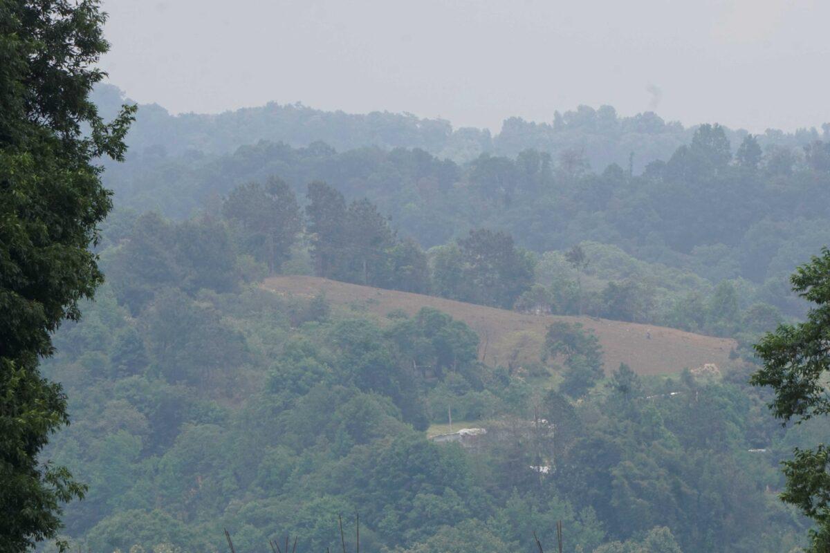 $!En Veracruz, comunidades denuncian que pesticidas para cultivo de papa amenazan su salud y un bosque de niebla
