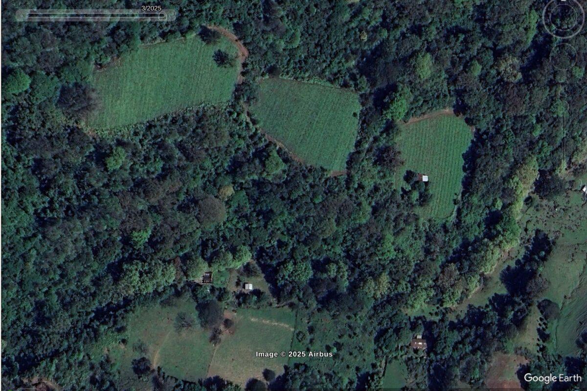 $!En Veracruz, comunidades denuncian que pesticidas para cultivo de papa amenazan su salud y un bosque de niebla