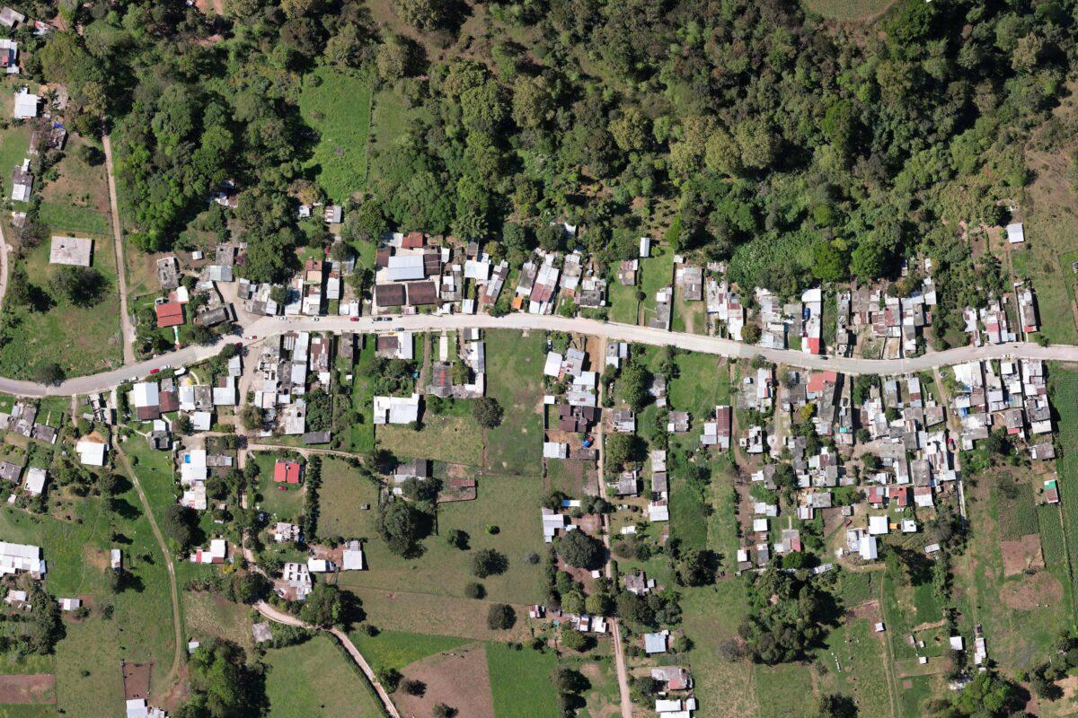 $!En Veracruz, comunidades denuncian que pesticidas para cultivo de papa amenazan su salud y un bosque de niebla