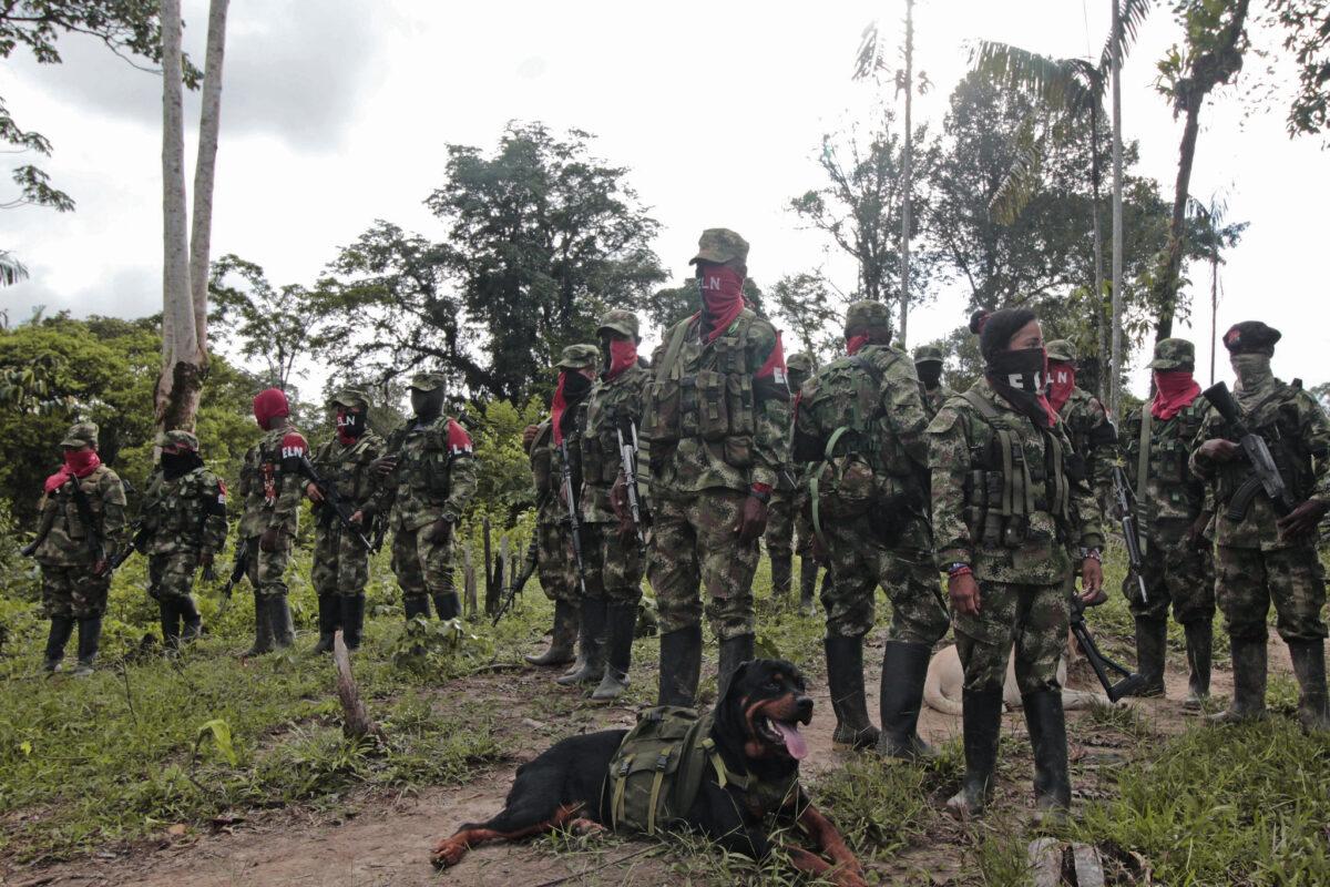 $!Guerrilleros del ELN.