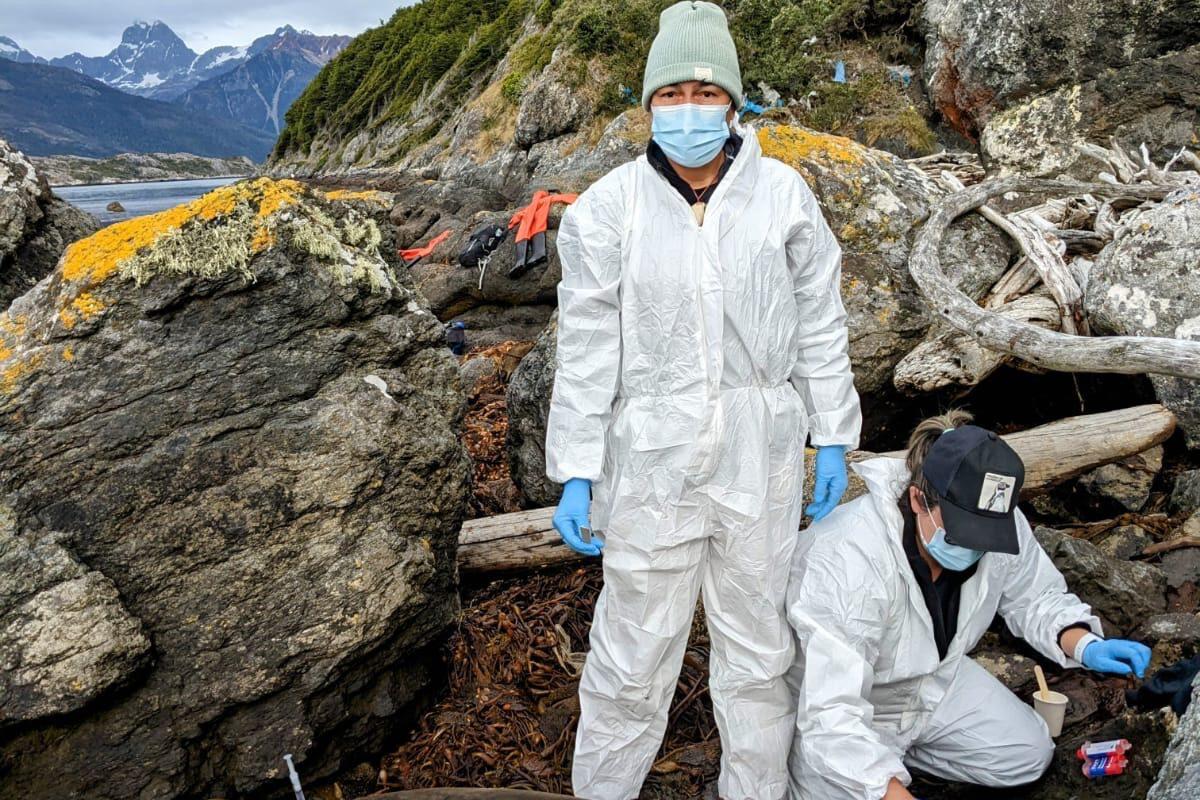 $!La sorprendente misión de elefantes marinos que ayudan a científicos a entender la enigmática corriente del Cabo de Hornos y el cambio climático