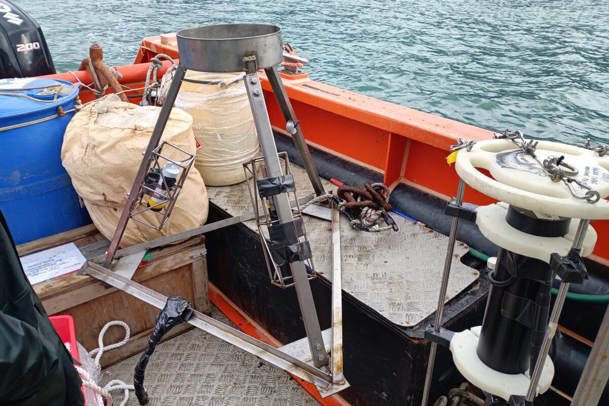 $!La sorprendente misión de elefantes marinos que ayudan a científicos a entender la enigmática corriente del Cabo de Hornos y el cambio climático