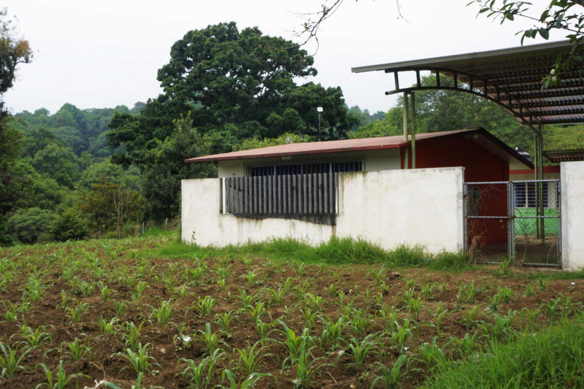 $!En Veracruz, comunidades denuncian que pesticidas para cultivo de papa amenazan su salud y un bosque de niebla