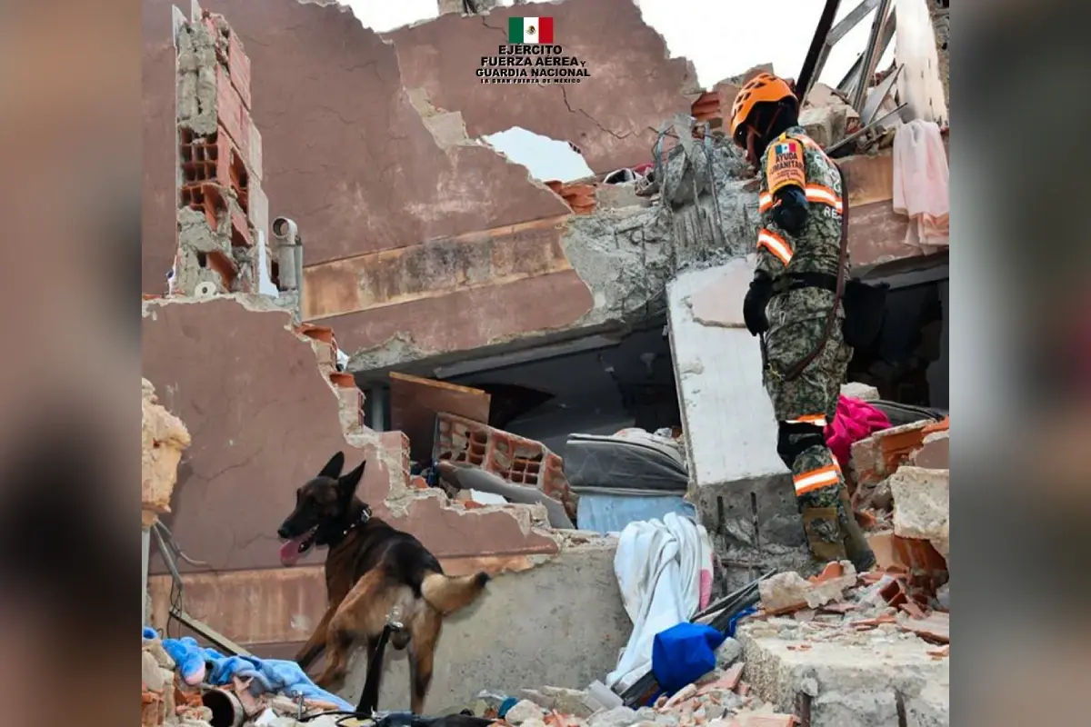 $!Binomio canino colabora en las acciones de rescate en Venezuela.