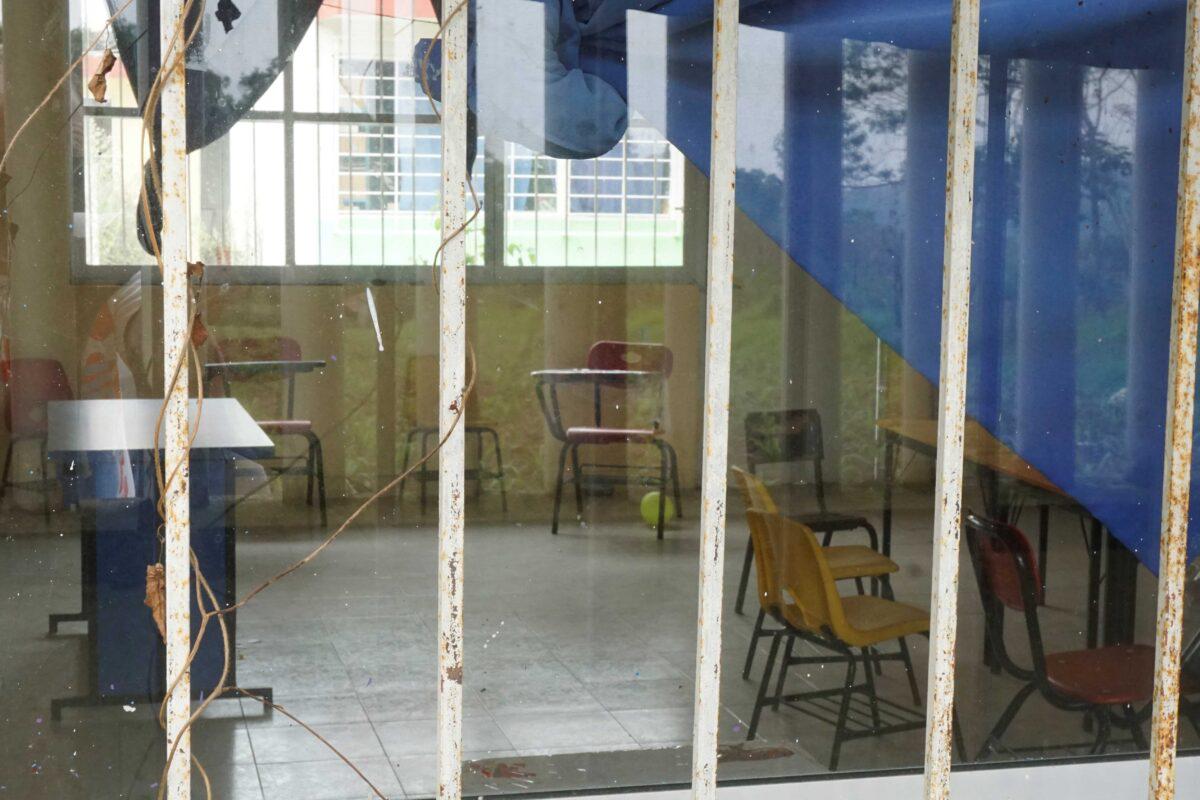 $!En Veracruz, comunidades denuncian que pesticidas para cultivo de papa amenazan su salud y un bosque de niebla