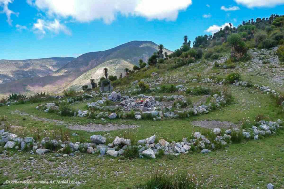 $!México tiene nuevo Patrimonio Mundial: Unesco incluye la Ruta Wixárica en la lista
