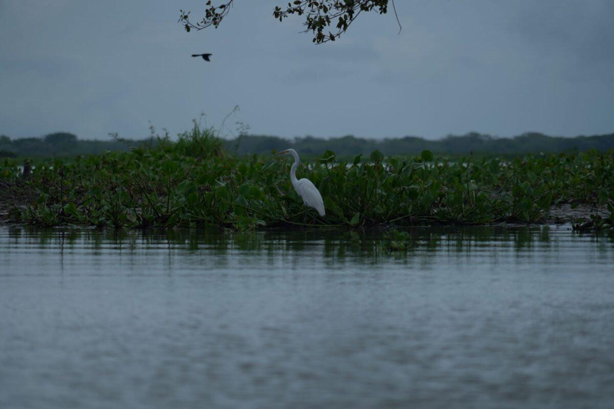 $!Imágenes que inspiran: la lucha de comunidades contra la escasez de agua en América Latina