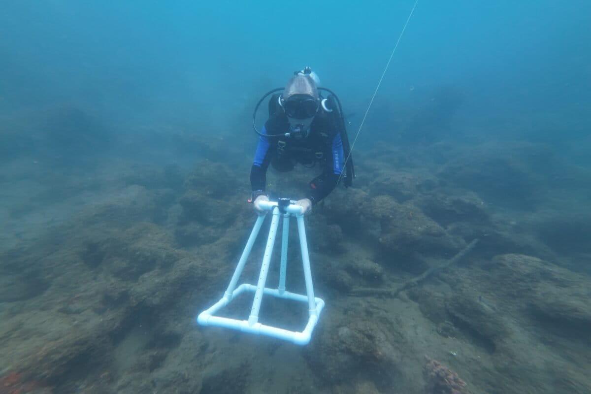 $!Buzos expertos realizan monitoreo de los arrecifes en las costas de Zapotitlán.