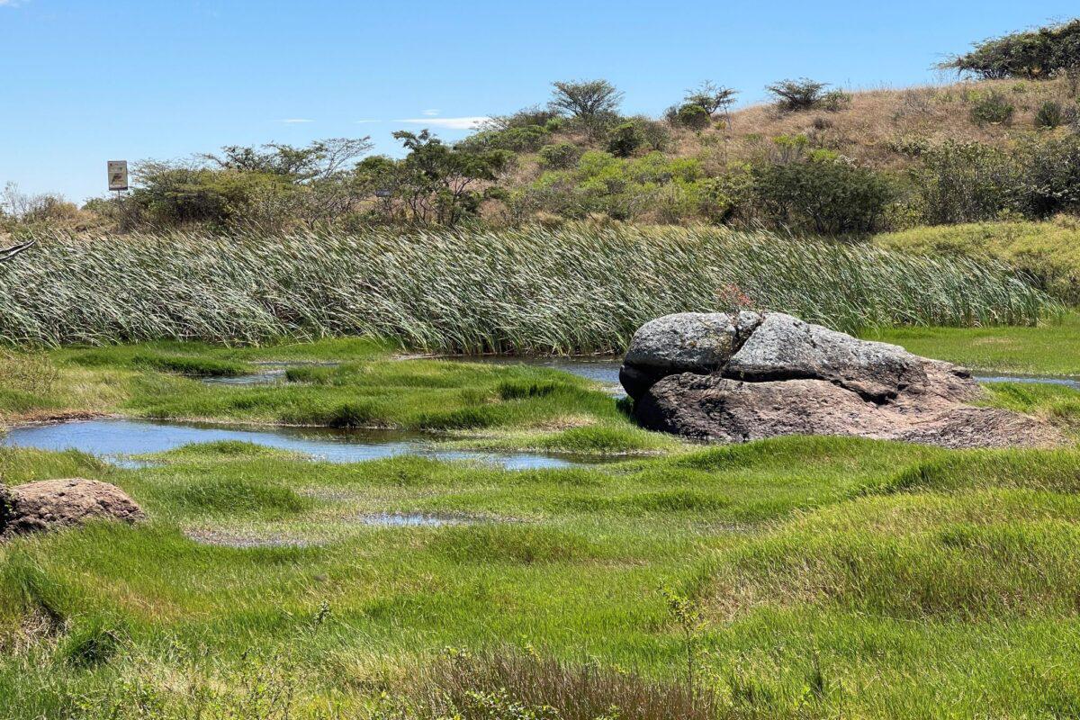 $!Imágenes que inspiran: la lucha de comunidades contra la escasez de agua en América Latina