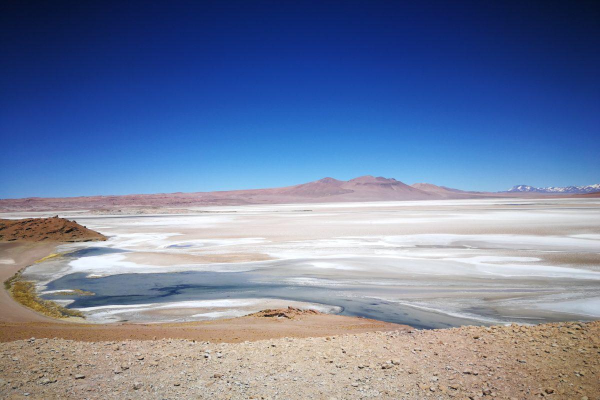 $!En la fiebre del Litio, pesa más el aprovechamiento económico que la preocupación por la salvedades ambientales